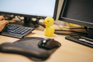 Toy duck beside computer at IBM office, Galway