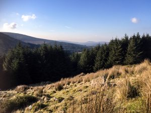 Wicklow hikes boast beautiful views